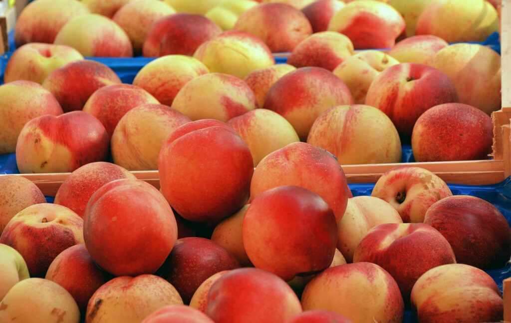 baskets of peaches illutrating the importance of fruit testing for safety