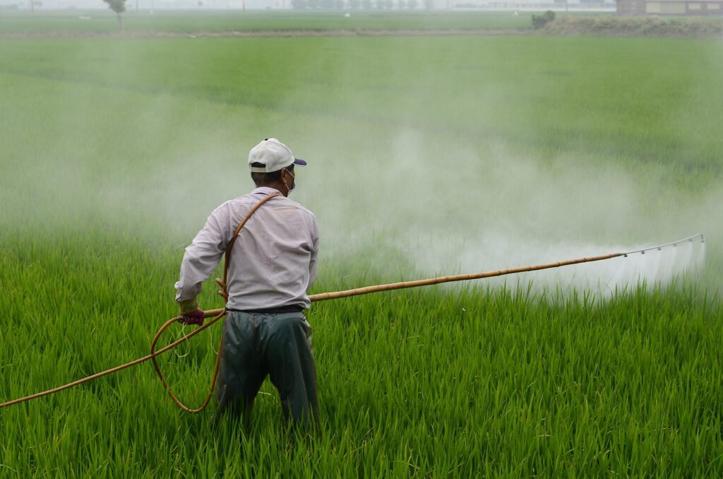 A farmer in protective clothing sprays pesticide across a lush green crop field using a long sprayer hose.