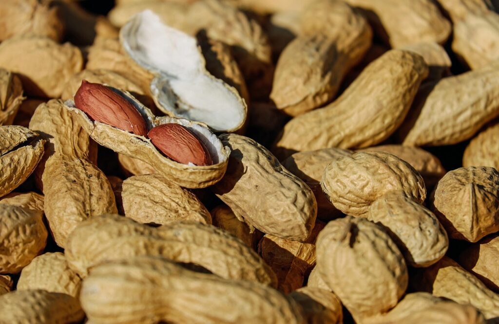shelled peanuts and common allergen and reason for food allergy testing