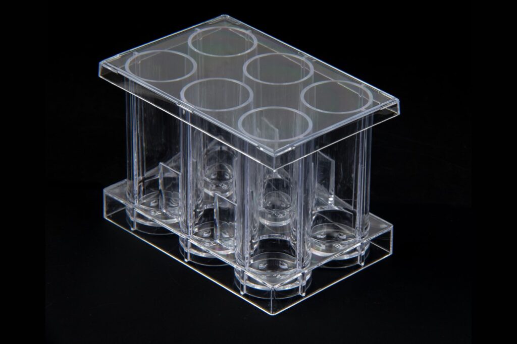 Clara 6 Cell culture plate on a black background