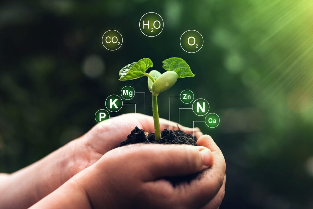 person holding soil for soil sampling