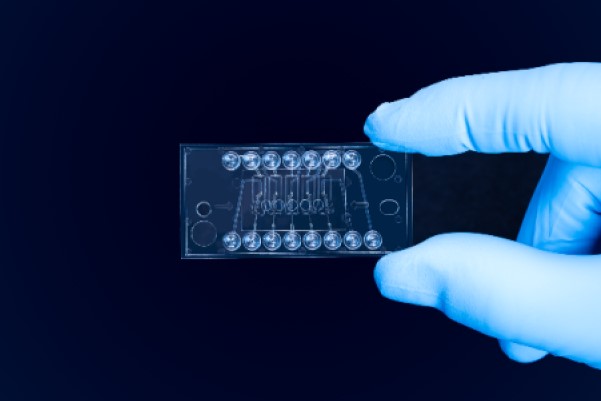 New Mass photometer chip being held by researcher
