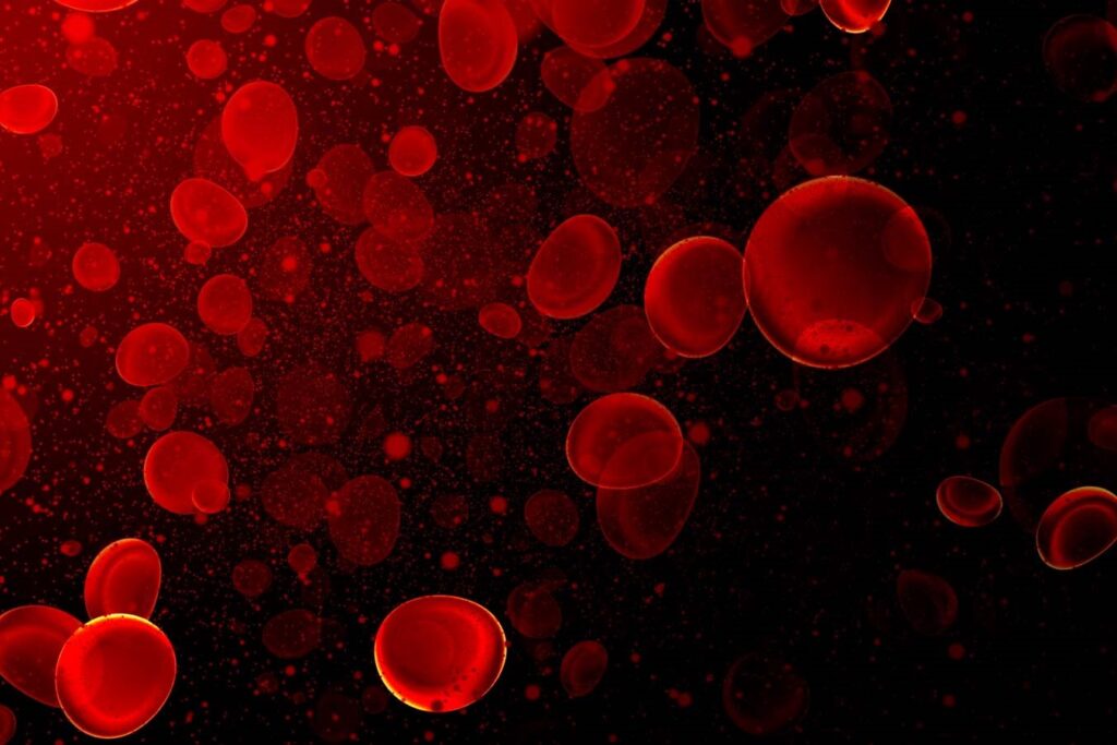 Computer image of red blood cells and a pathogen