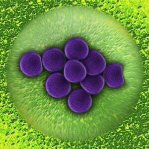 Image of bacteria on a green background suggesting the importance of riboprinting