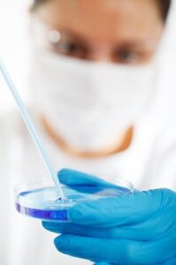 toxicity testing