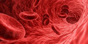 Endocrinology | hormone testing