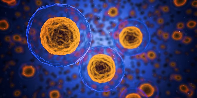 Image of cells magnified on a blue background suggesting the imprtance of microbiology testing and analysis