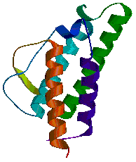 Cytokine Illustration