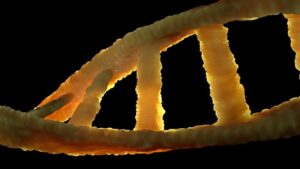 dna-1388696__340