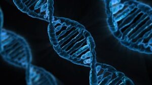 gene markers