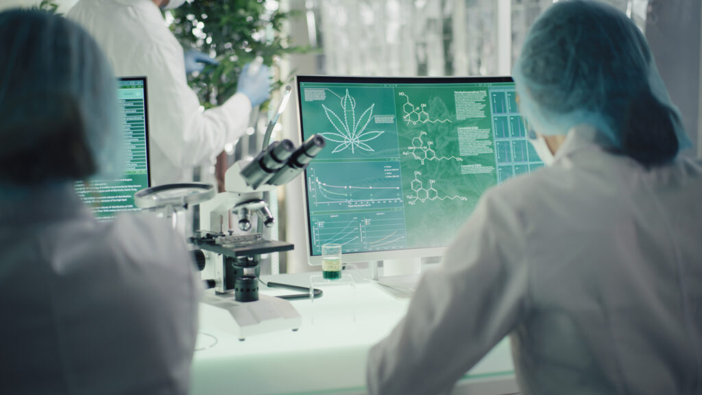 Close up of hands of scientists dropping marijuana oil for R&D