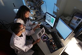 Auger Electron Spectroscopy (AES)