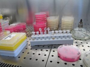 laboratory1