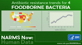 National Antimicrobial Resistance Monitoring System for Enteric Bacteria (NARMS)