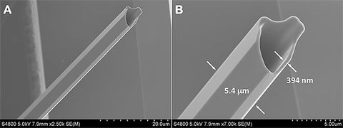 The scanning-electron image of a Potassium
