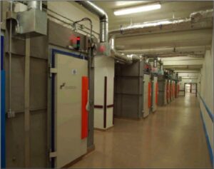 Radiofrequency cell phone testing