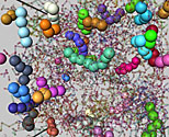 NIST Polymer Mixture