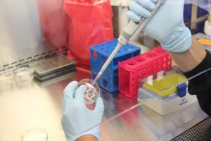 Person working with a pipette within a fume hood