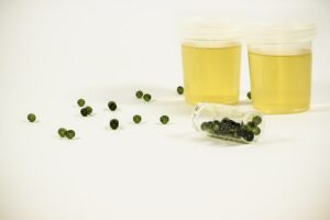 drug toxicology testing